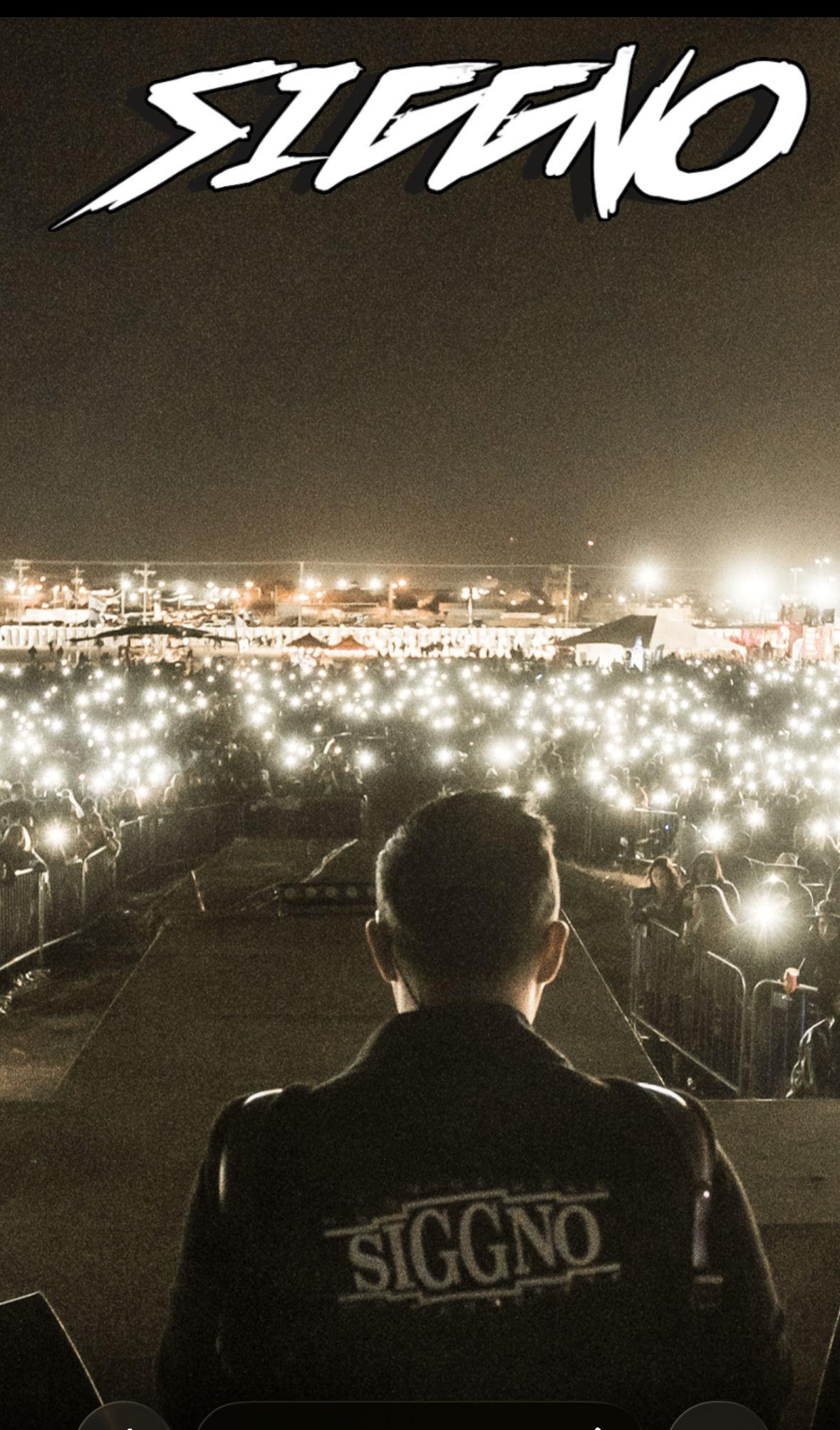 Grupo Siggno live — crowd from stage